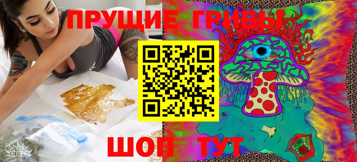 Псилоцибиновые грибы Cubensis Кувандык