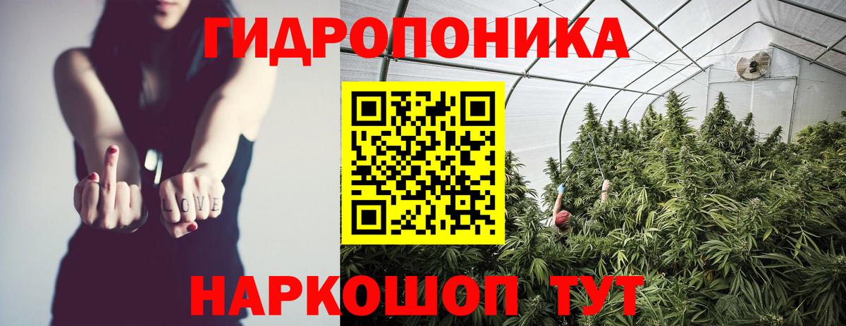 Канабис LSD WEED  Вход с VPN  Кувандык  Бошки Шишки семена  Конопля SATIVA & INDICA 